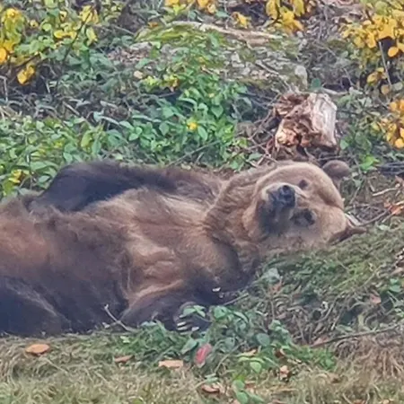 Hoamatblick Mit Panoramahallenbad * Фрайунг